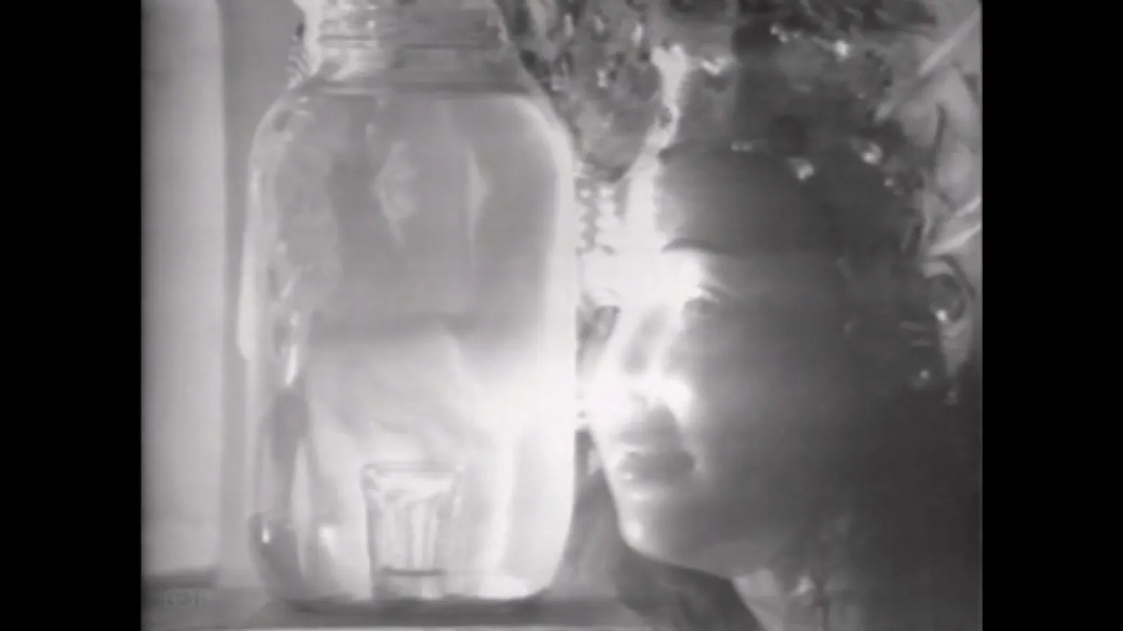 Electric Narcissus (Flaherty NYC with Joan Jonas)