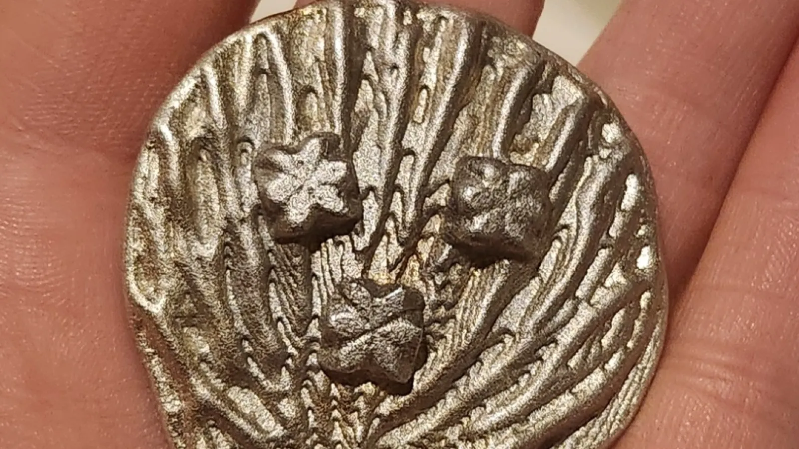 “medieval” pilgrims’ badge from a cuttlefish bone